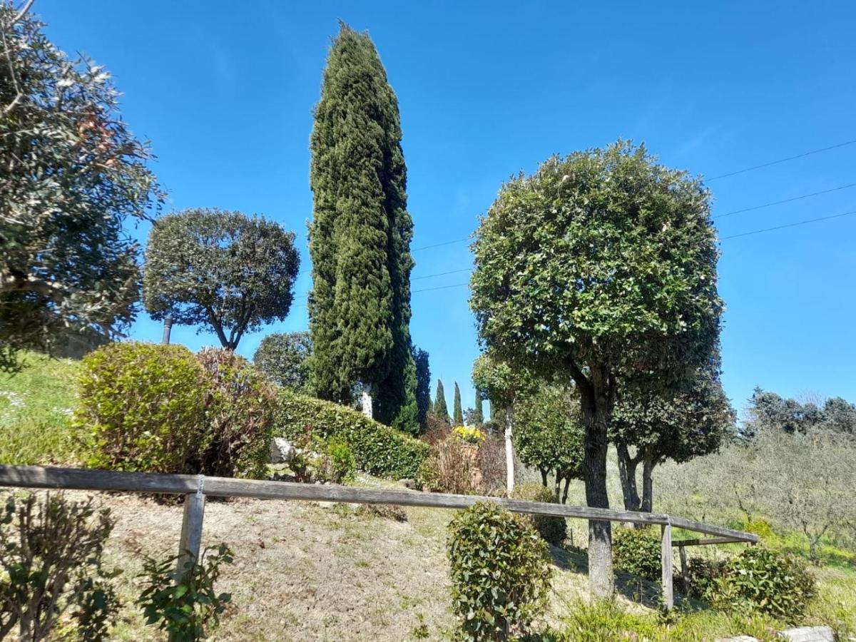 Villetta Dei Lecci Castelfiorentino Exterior photo